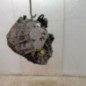 Boite de vitesses RENAULT SCENIC 3