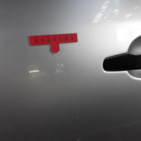 Porte arriere gauche CITROEN C4 1