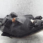 Optique avant principal gauche (feux)(phare) HYUNDAI GETZ