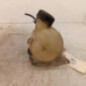 Vase d'expansion PEUGEOT 207