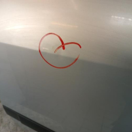 Porte arriere gauche RENAULT MODUS