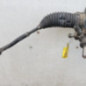 Cremaillere assistee FORD RANGER 4