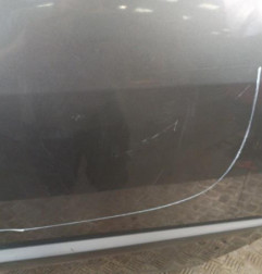 Porte arriere gauche RENAULT SCENIC 2