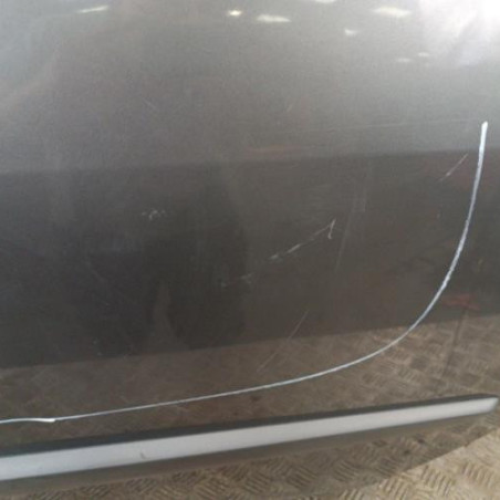 Porte arriere gauche RENAULT SCENIC 2