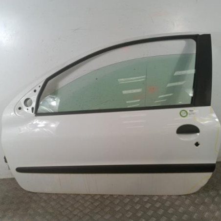 Porte avant gauche PEUGEOT 206+ Photo n°1