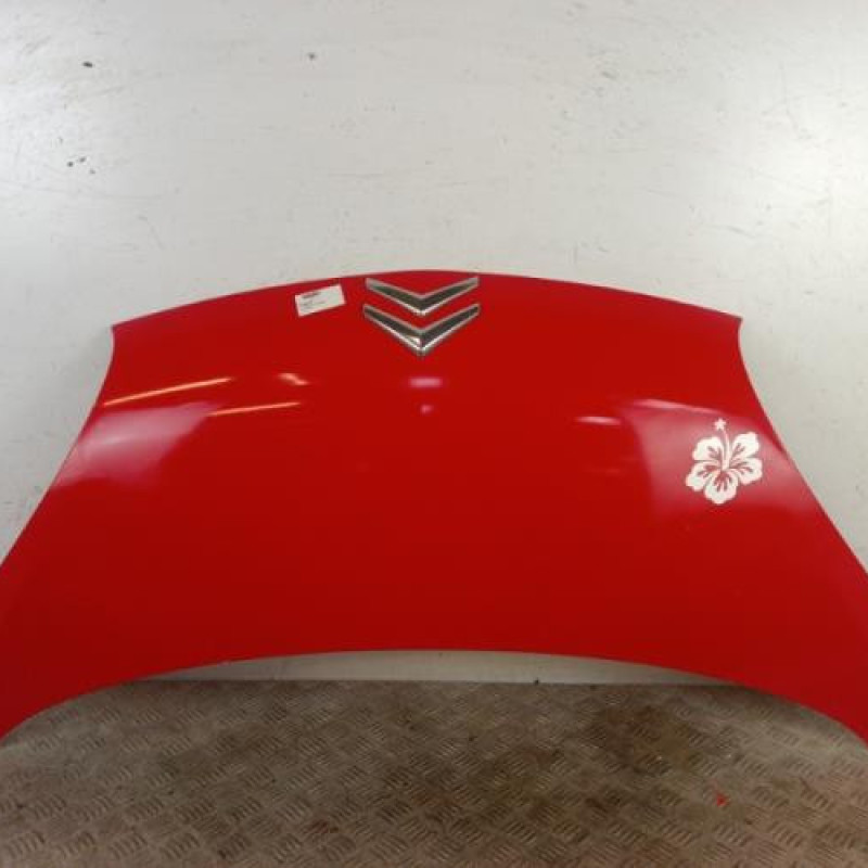 Capot CITROEN C1 1 Capot CITROEN C1 1