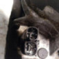 Pompe de direction CITROEN C5 2