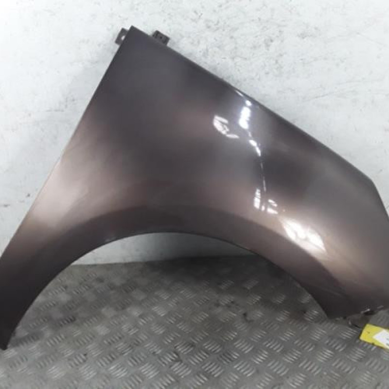 Aile avant droit RENAULT SCENIC 3