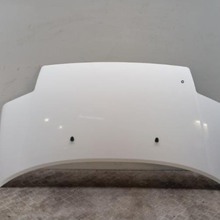 Capot CITROEN C2 Photo n°1