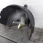 Pare boue arriere droit CITROEN C4 CACTUS
