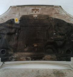 Capot FORD FIESTA 4