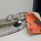 Renfort pare choc arriere (traverse) CITROEN C4 GRAND PICASSO 1