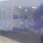 Porte avant gauche RENAULT CLIO 3