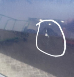 Porte avant gauche RENAULT CLIO 3 Photo n°5