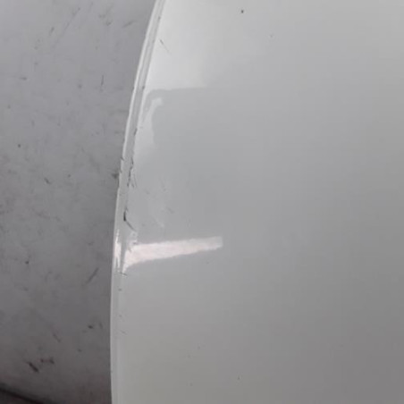 Porte arriere gauche NISSAN QASHQAI 1