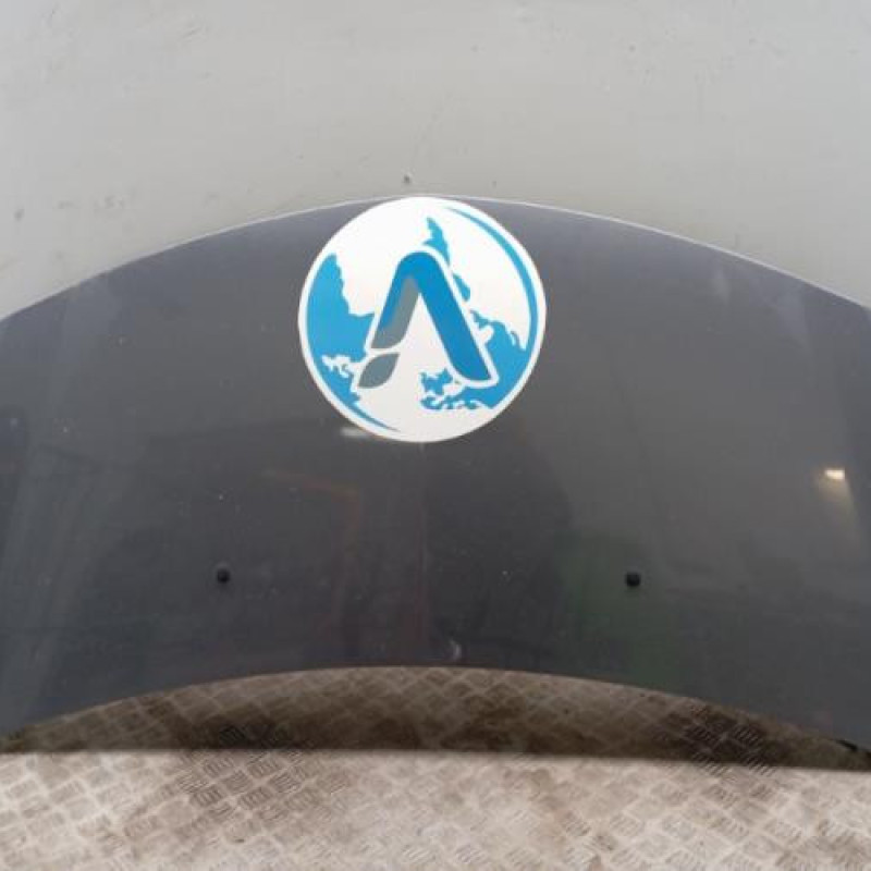 Capot RENAULT CLIO 3 Capot RENAULT CLIO 3