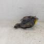 Etrier arriere droit (freinage) RENAULT GRAND SCENIC 3
