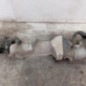 Cremaillere assistee CITROEN BERLINGO 3 M