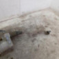 Cremaillere assistee CITROEN BERLINGO 3 M