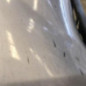 Pare choc avant CITROEN XSARA