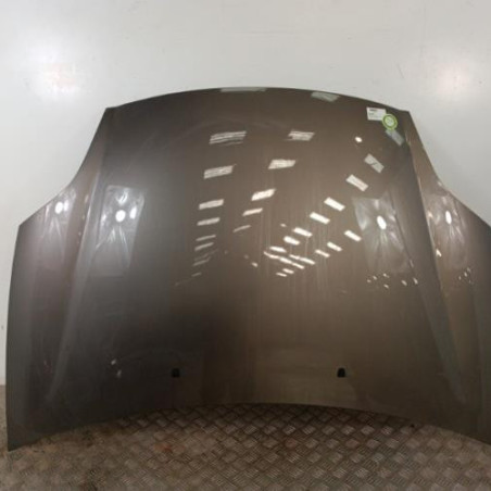 Capot FIAT BRAVO 2 Photo n°1