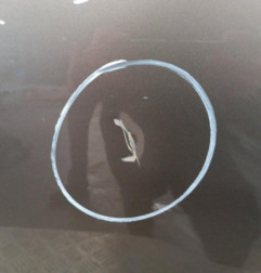 Porte arriere gauche FIAT BRAVO 2