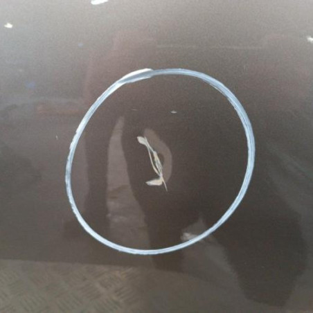 Porte arriere gauche FIAT BRAVO 2