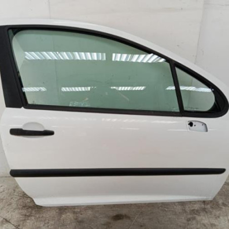 Porte avant droit PEUGEOT 207 Photo n°1