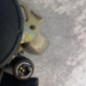 Ceinture avant droit CITROEN C8