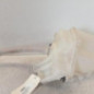 Vase de lave glace TOYOTA RAV4 3