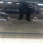 Porte avant droit HYUNDAI I 10 1