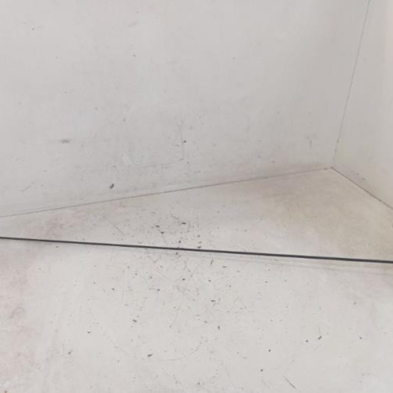 Antenne RENAULT SCENIC 1 Antenne RENAULT SCENIC 1
