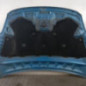 Capot FORD KUGA 1