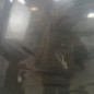 Capot CITROEN C3 2