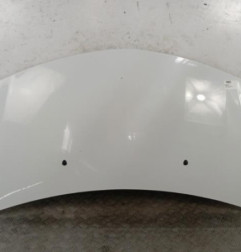 Capot RENAULT CLIO 3 Photo n°1