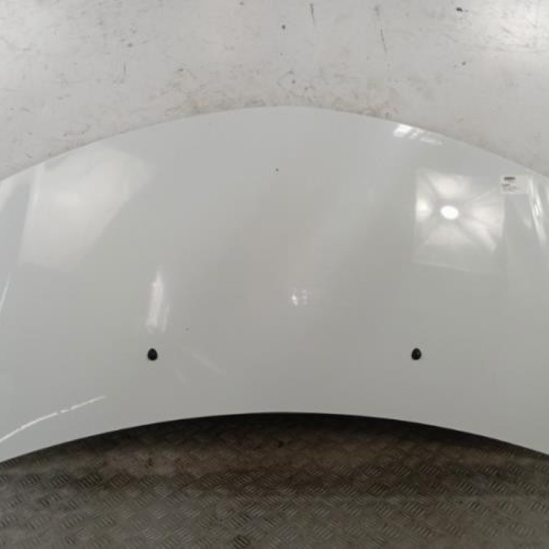 Capot RENAULT CLIO 3