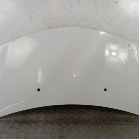 Capot RENAULT CLIO 3 Photo n°1