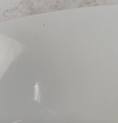 Capot RENAULT CLIO 3