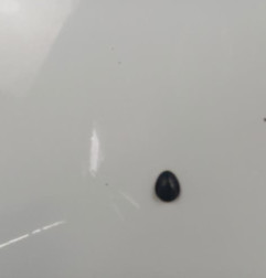 Capot RENAULT CLIO 3 Photo n°3