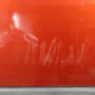 Porte avant gauche RENAULT GRAND SCENIC 2