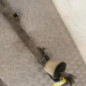 Cremaillere assistee RENAULT SCENIC 2
