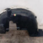 Pare boue arriere droit PEUGEOT 2008 1