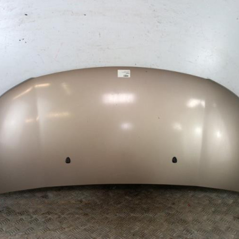 Capot CITROEN C3 PICASSO Capot CITROEN C3 PICASSO