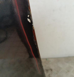 Porte avant gauche RENAULT SCENIC 3 Photo n°4