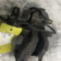 Etrier arriere droit (freinage) CITROEN C4 PICASSO 1
