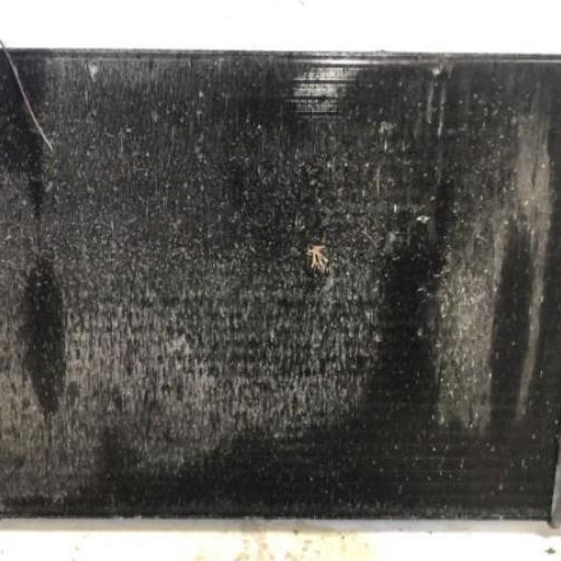 Radiateur eau RENAULT MODUS Radiateur eau RENAULT MODUS