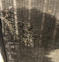 Radiateur eau DS DS3 Photo n°3