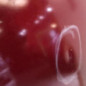 Capot ALFA ROMEO MITO