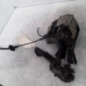 Serrure avant gauche FORD FIESTA 5