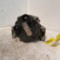 Alternateur FORD KA 2